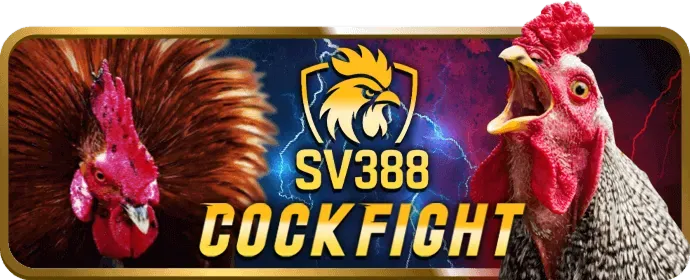 Slot game đa dạng trên ứng dụng Melbet